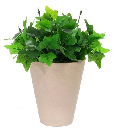 Hedera DioTrez Cachepot Dekollete Concrete 17