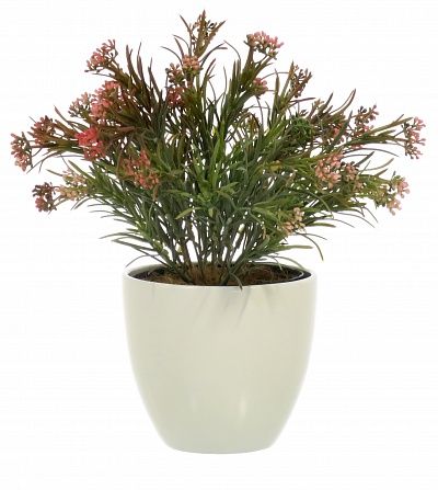 Veresque Migo planter Dekollete 12