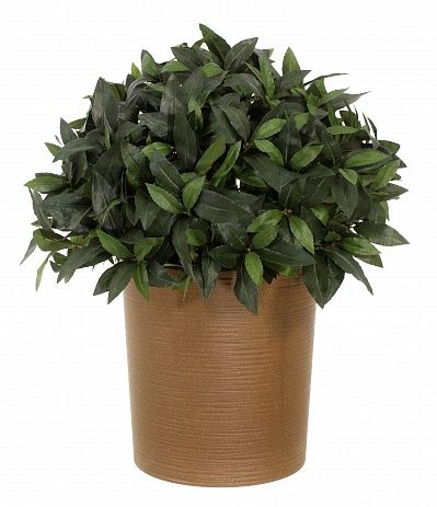 Laurel Corum Cachepot Dekollete Clasico 30 Eco