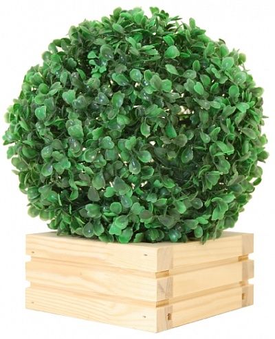 Boxwood Beni Cachepot Dekollete Tuni W15