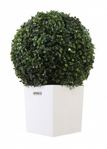 Boxwood Camos Cachepot Dekollete Clasico 19