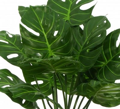 Monstera Tagira Dos cachepot Dekollete Cuno 46 Eco