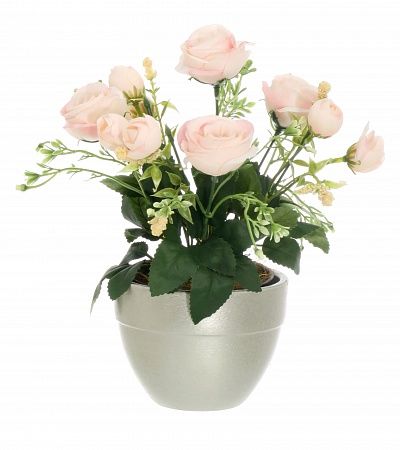 Rose Retro Planter Dekollete 12