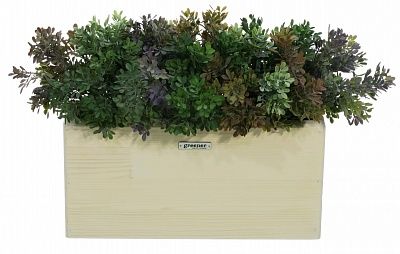 Frontera Liso 40*20 boxwood Nira