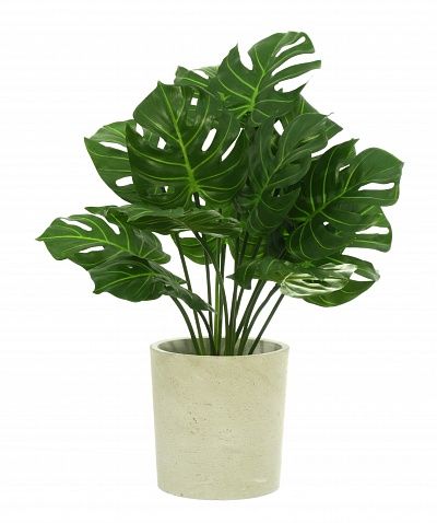 Monstera Tagira Dos cachepot Dekollete Concrete 19