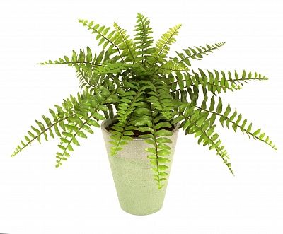 Fern Maun cachepot Dekollete Concrete 17