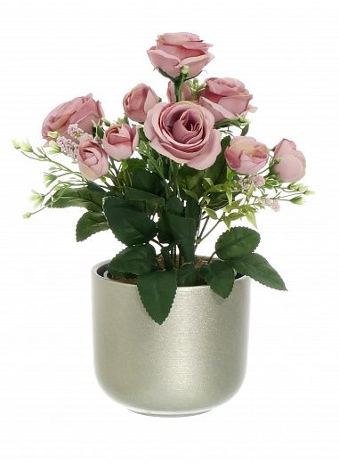 Rose Retro Planter Dekollete 12