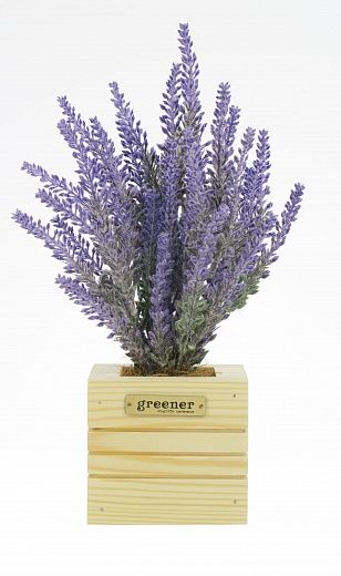 Lavender Sirt Dekollete Cube 10 planter