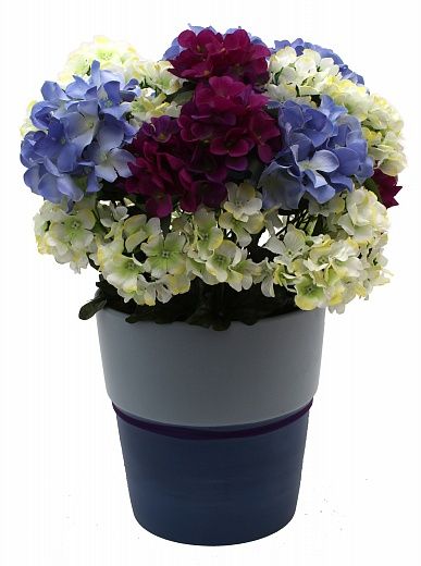 Hydrangea Rona cachepot Dekollete Bort 22