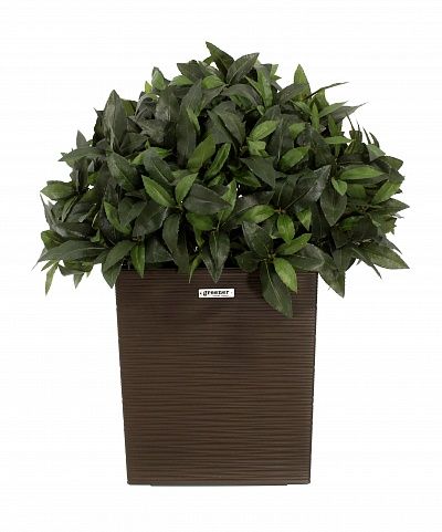 Laurel Corum cachepot Dekollete Clasico 30