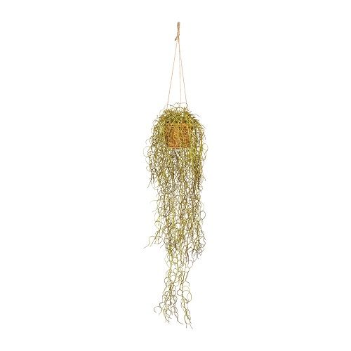 Tillandsia L70 cm green-brown pendant