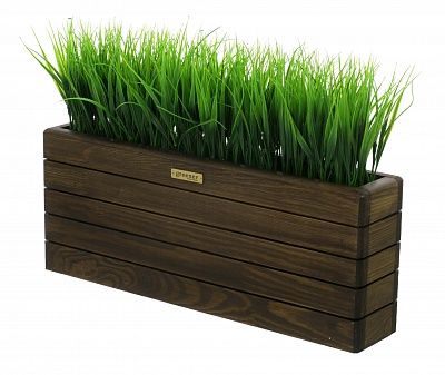 Phyto-stand Frontera 50*20 sedge Bani