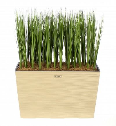 Sedge Harry cachepot Dekollete 36