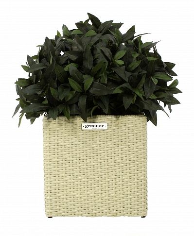 Laurel Corum Cachepot Dekollete Rattan Cube 32