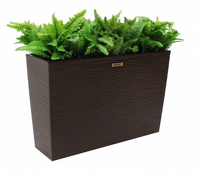 Fern Nephrolepis Jaffe cachepot Dekollete 36