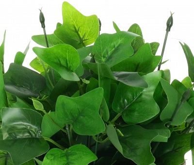 Hedera DioTrez Cachepot Dekollete Concrete 17