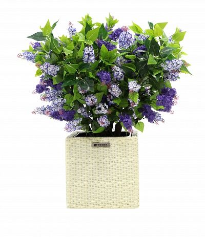 Lilac Chester mini cachepot Dekollete Rattan Cube 32