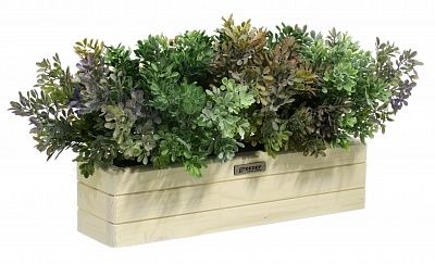 Frontera 40*10 boxwood Nira