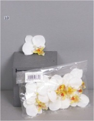 Orchids cream flowers 12 pcs.