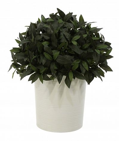 Laurel Corum cachepot Dekollete Clasico 30