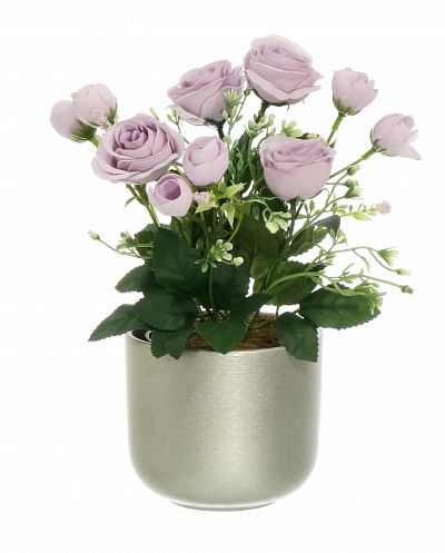 Rose Retro Planter Dekollete 12