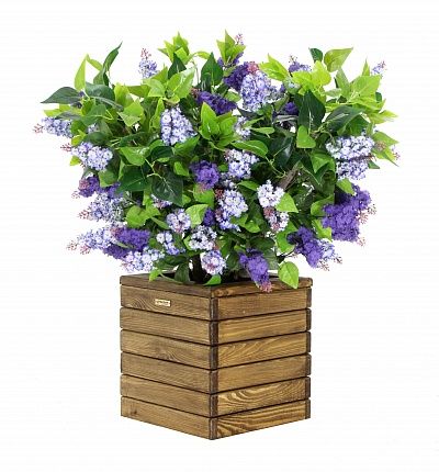 Lilac Chester mini cachepot Dekollete Roca Cube 30