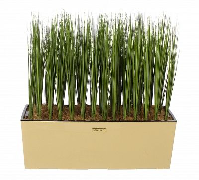 Sedge Harry cachepot Dekollete 19