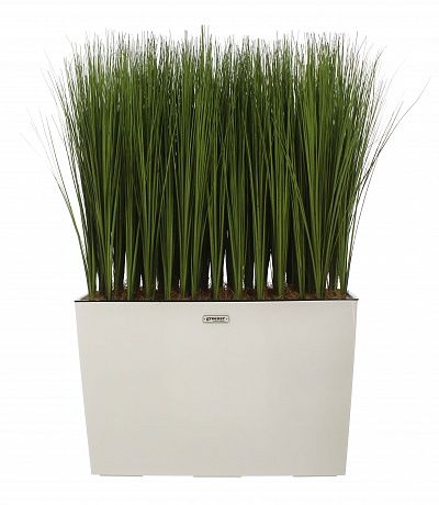 Sedge Angora cachepot Dekollete 36