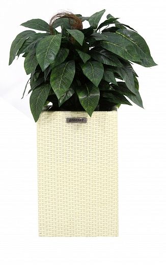 Croton Lake Cachepot Dekollete Rattan Cube 50