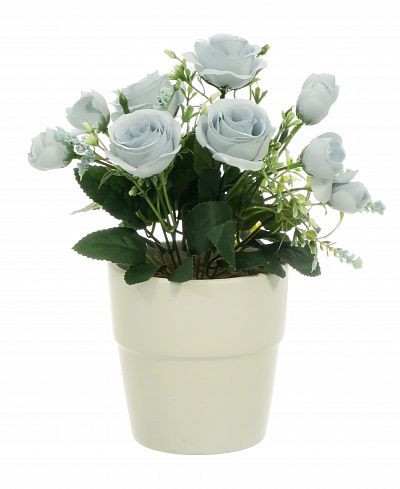 Rose Retro Planter Dekollete 12