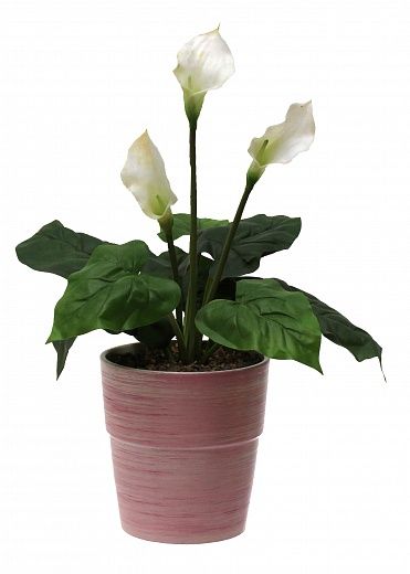 Calla Irby Cachepot Dekollete