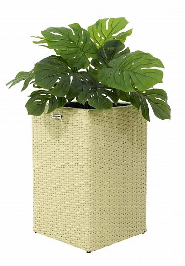 Monstera Moran Duo cachepot Dekollete Rattan Cube 50 color