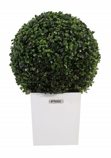 Boxwood Camos Cachepot Dekollete Clasico 19