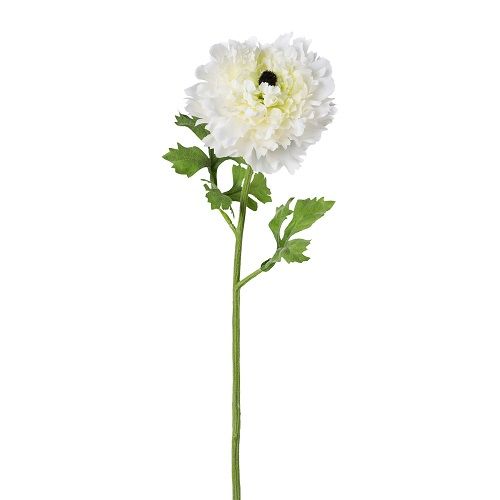 Ranunculus H46 cm white