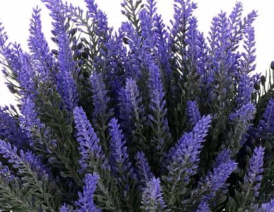 Lavender Cietta Cachepot Dekollete 12