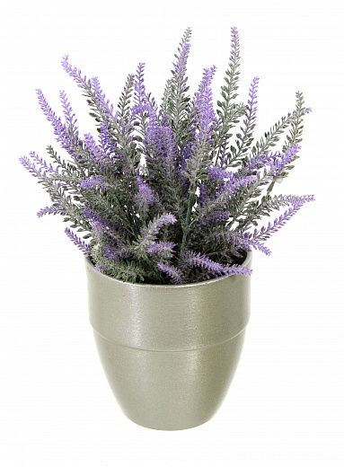 Lavender Sirt Cachepot Dekollete Silver Bort 12