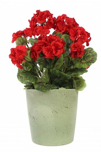 Geranium Rizado cachepot Dekollete Concrete 17