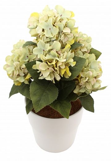 Hydrangea Retro Dinah Cachepot Dekollete Bort 22