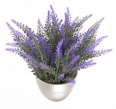 Lavender Sirt Cachepot Dekollete Silver Mini