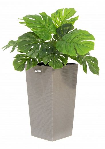 Monstera Moran Duo Cachepot Dekollete Kuno 46 Eco