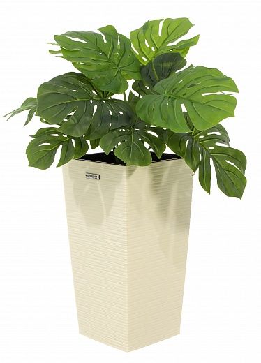 Monstera Moran Duo Cachepot Dekollete Kuno 46 Eco