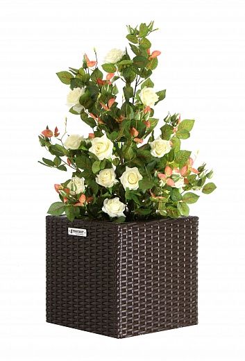 Rosa Dustina cachepot Dekollete Rattan Cube 32