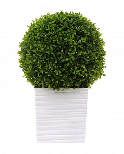 Boxwood Wende mini cachepot Dekollete Clasico Cube 19