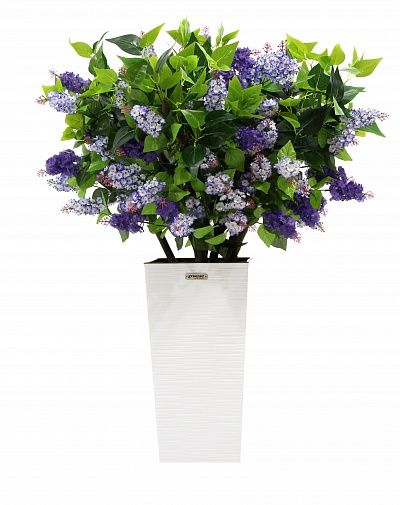 Lilac Chester Mini Cachepot Dekollete Kuno 46