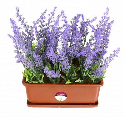 Lavender Tory cachepot Dekollete Bonsai