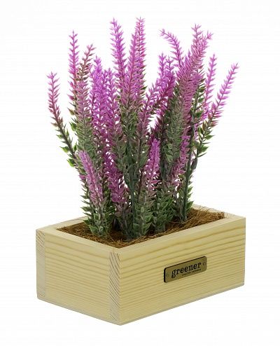 Lavender Sirt cachepot Dekollete Tani 15