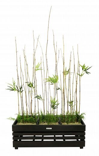 Cenchiosa bamboo composition available to order 1 piece