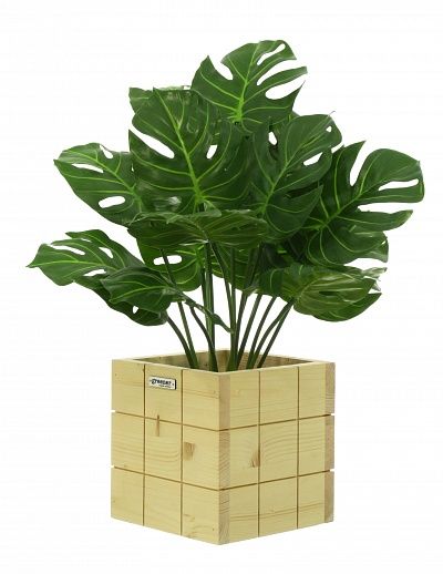 Monstera Tagira Dos cachepot Dekollete Chess 20