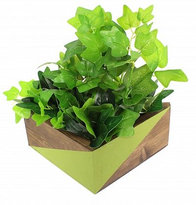 Hedera Collet Cachepot Dekollete Envelope