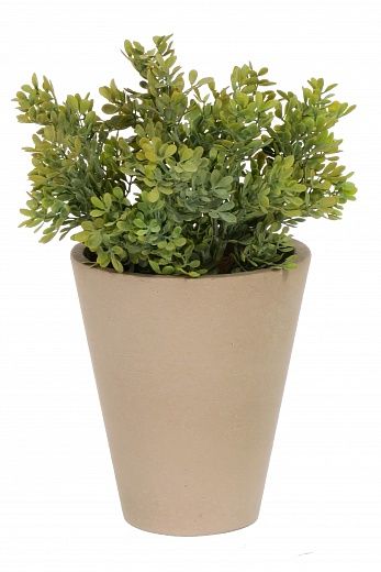 Samshit Nira Dekollete Concrete 17 planter